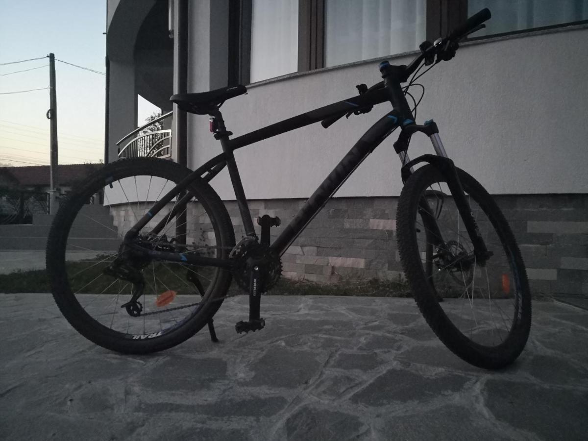 Pensiunea Casa Hortopan Târgu Jiu Exteriör bild